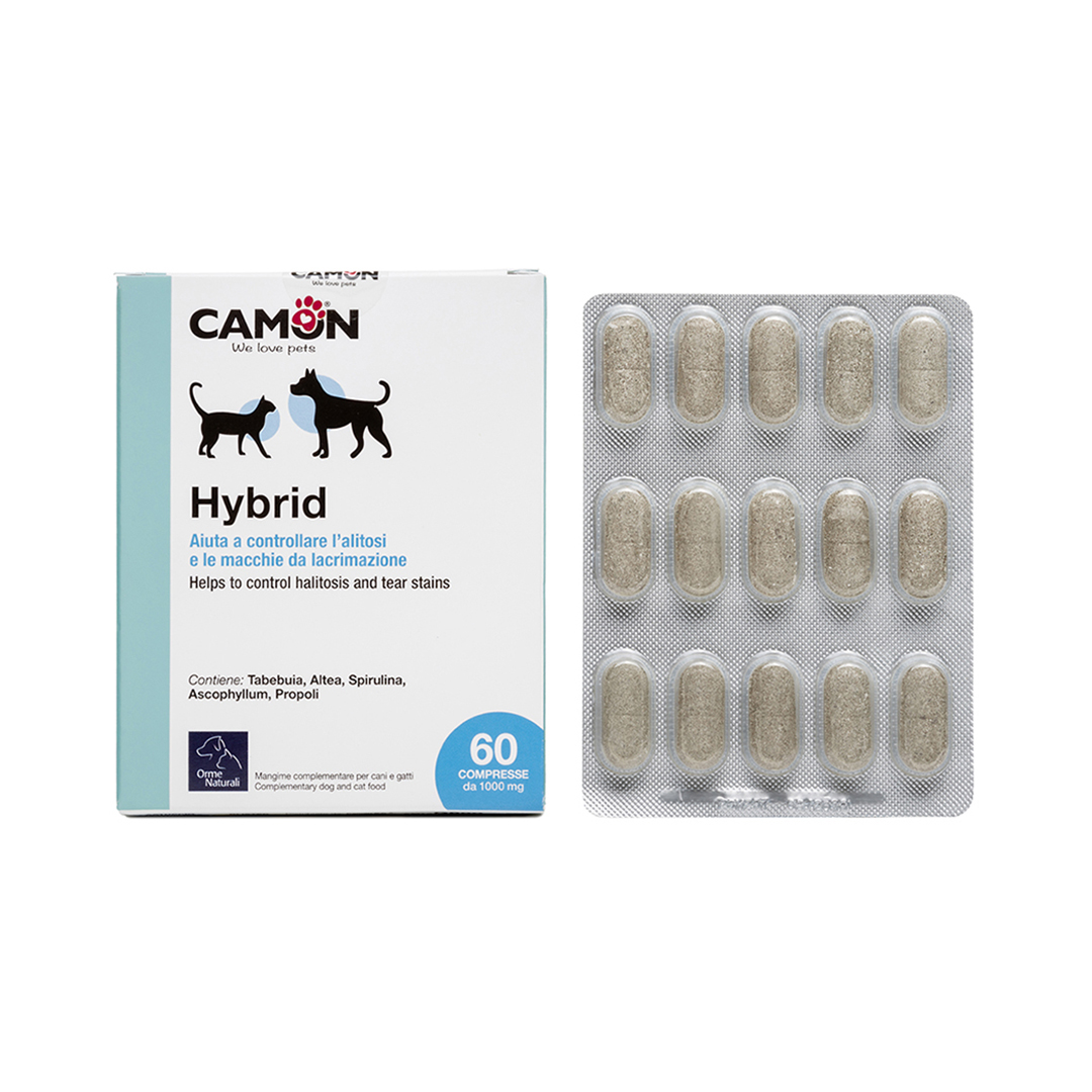 1_G880_front_box & blister_1080p