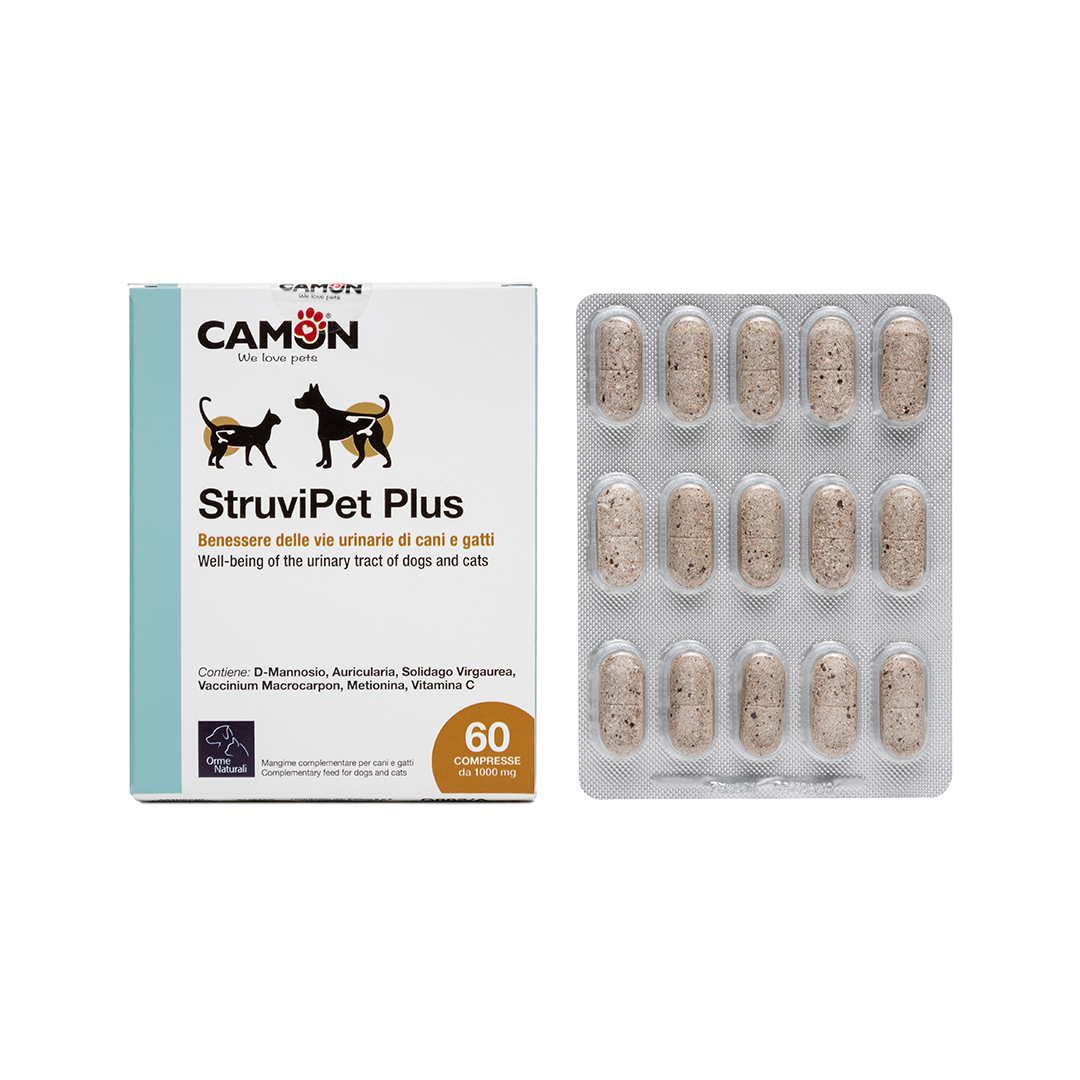 1_G882-A_front_box & blister_1080p