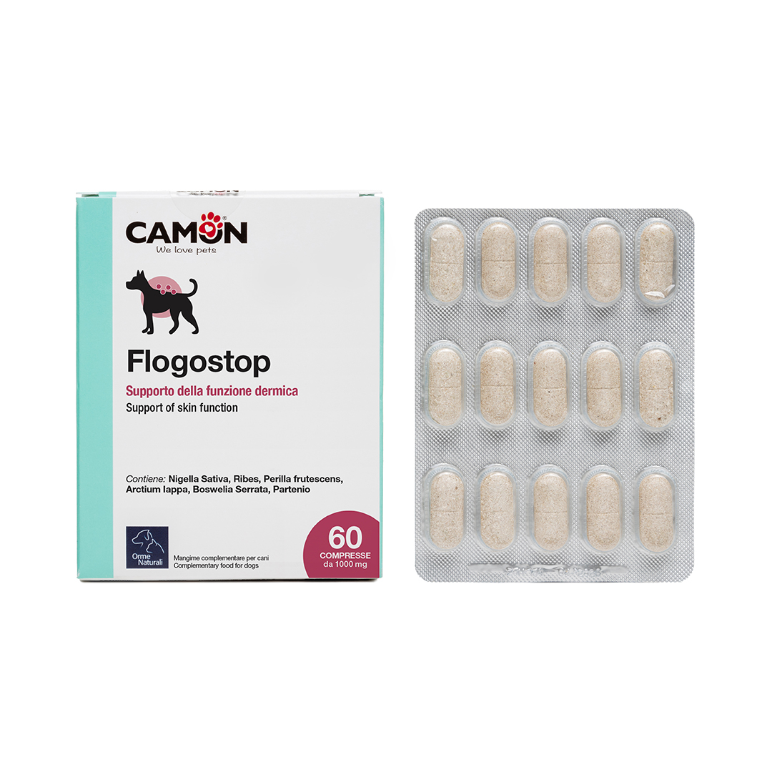 1_G897-A_group box & blister_1080p