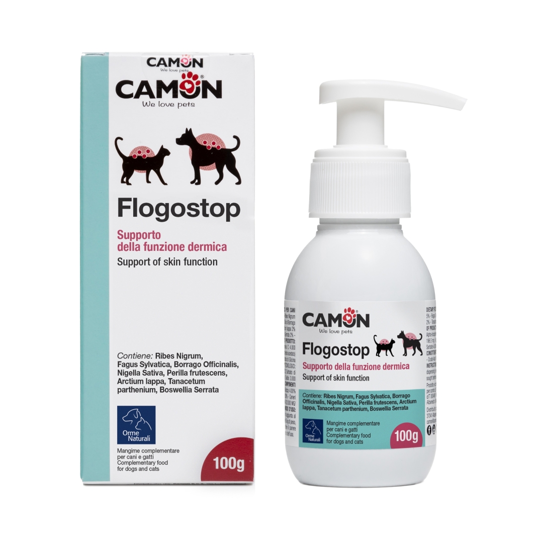 G897_Flogostop_pasta_box_dispenser_1080p G897_Flogostop_pasta_box_dispenser_1080p