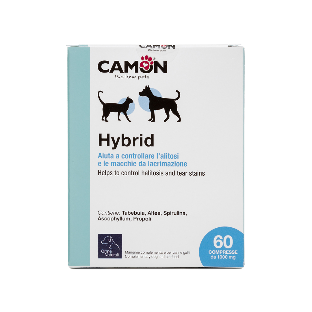 2_G880_front_box_1080p