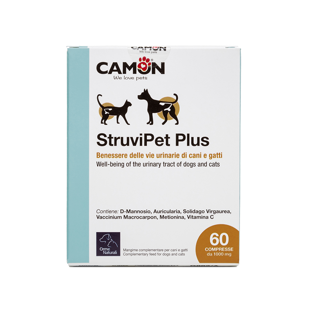 2_G882-A_front_box_1080p