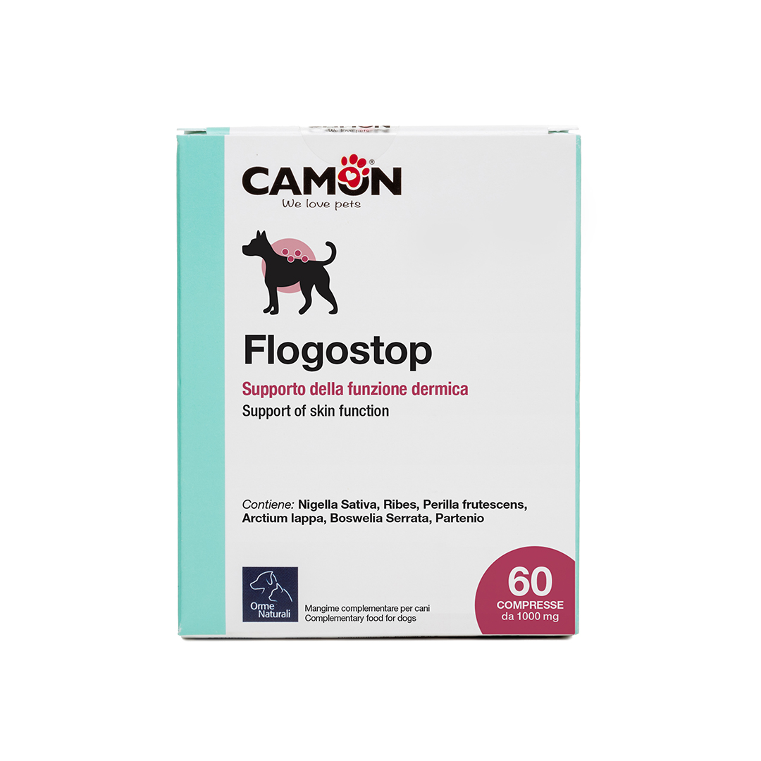 2_G897-A_front box_1080p