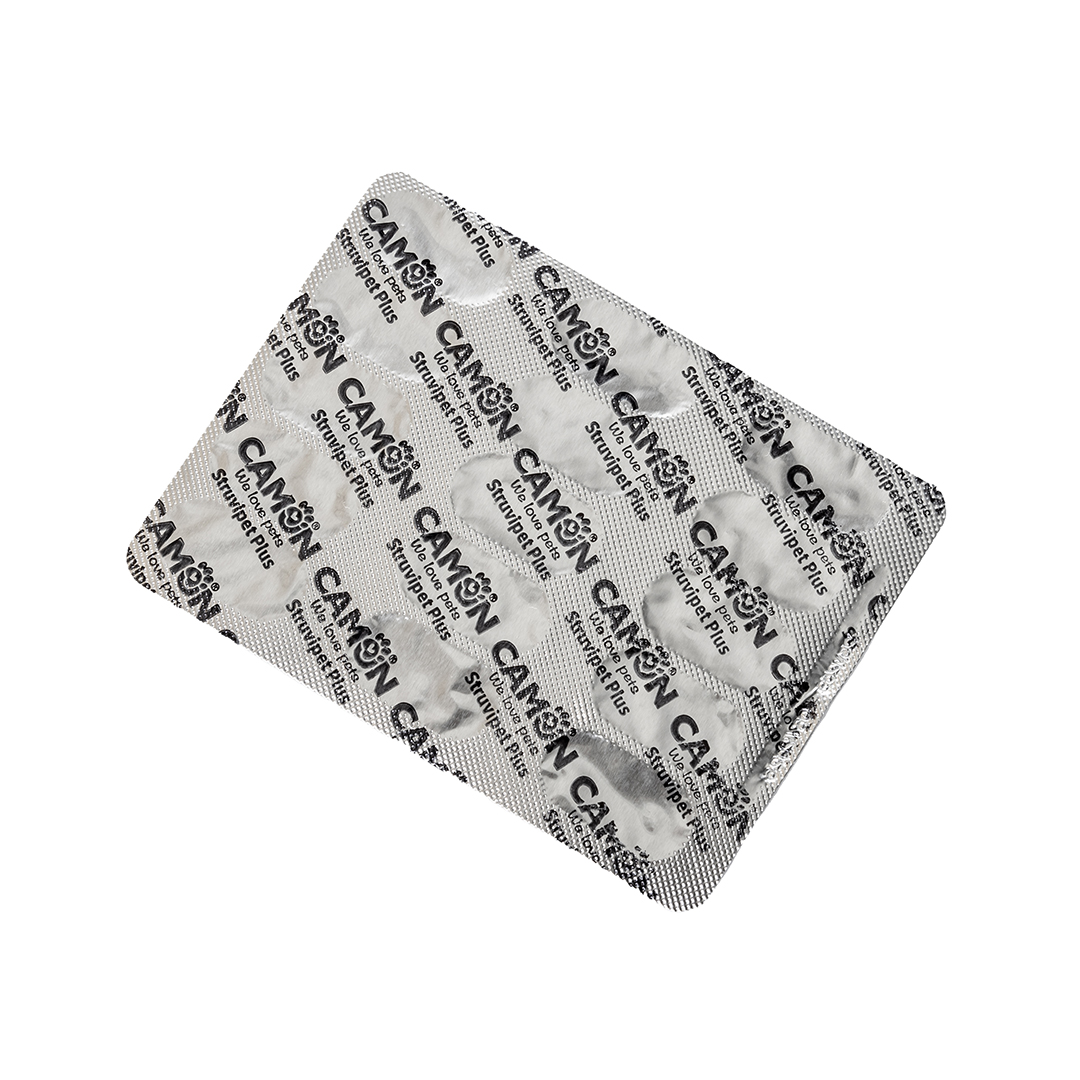 5_G882-A_back_blister_1080p