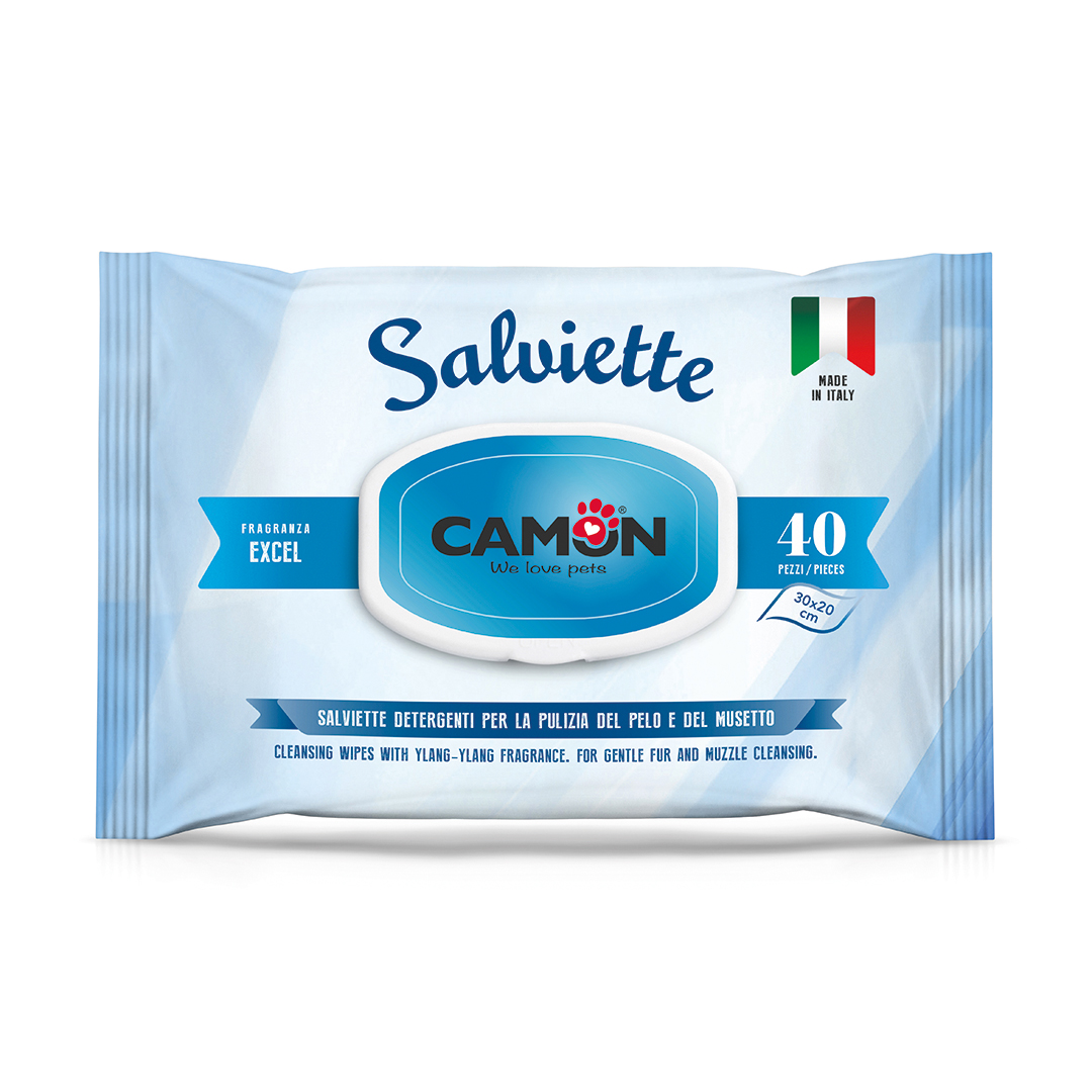 blank plastic wipes pouch isolated on white background