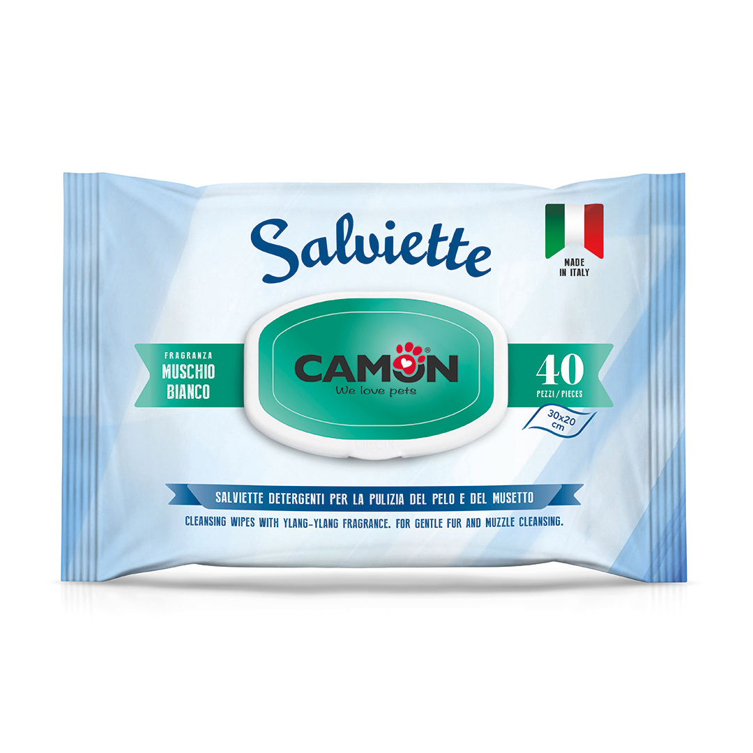 blank plastic wipes pouch isolated on white background