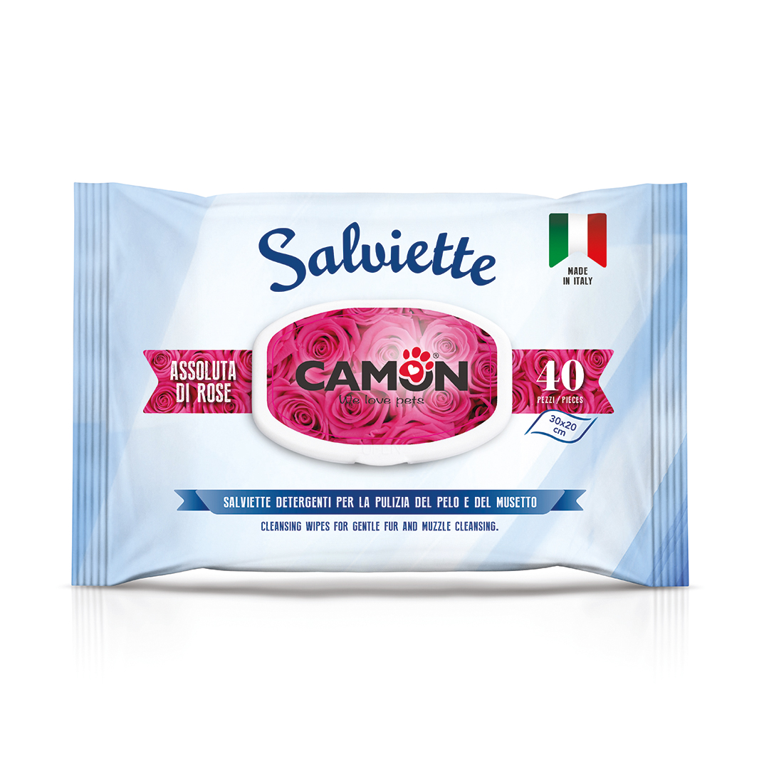 blank plastic wipes pouch isolated on white background